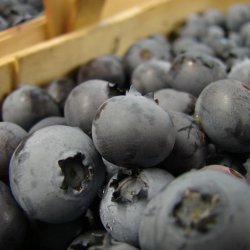 Flavorful blueberries, rich in vitamins and anti-oxidants.