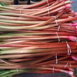 Rhubarbe, compagnon traditionel de la fraise.