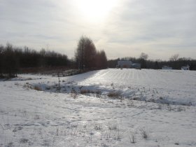 winter farm