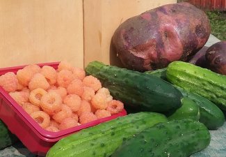 Pick your blueberries begun!